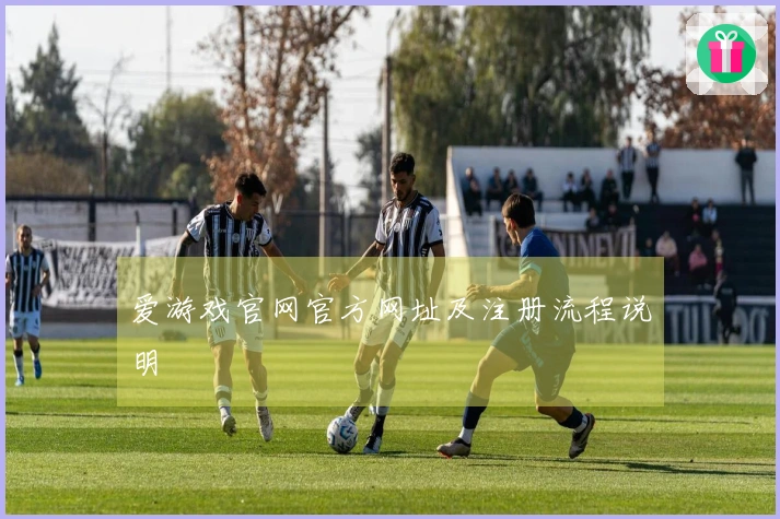 爱游戏官网官方网址及注册流程说明