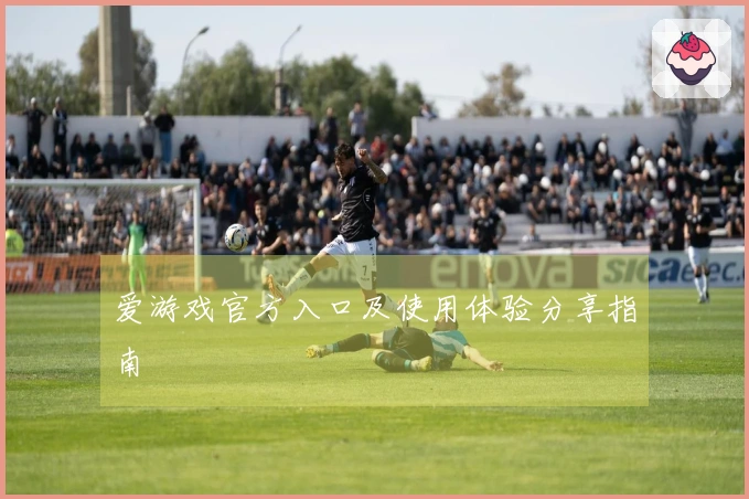 爱游戏官方入口及使用体验分享指南